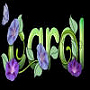 carol6552's Avatar