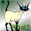 cougarmadcat's Avatar