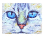 kittyispretty69's Avatar