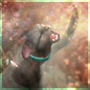 Tabatha's Avatar