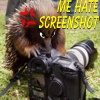 tachyglossus's Avatar