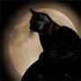 dragon_tfm's Avatar