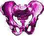 bootsbrisket's Avatar