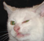 exportdry's Avatar