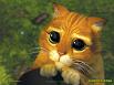 Tiggercat's Avatar
