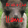 mod_bv's Avatar